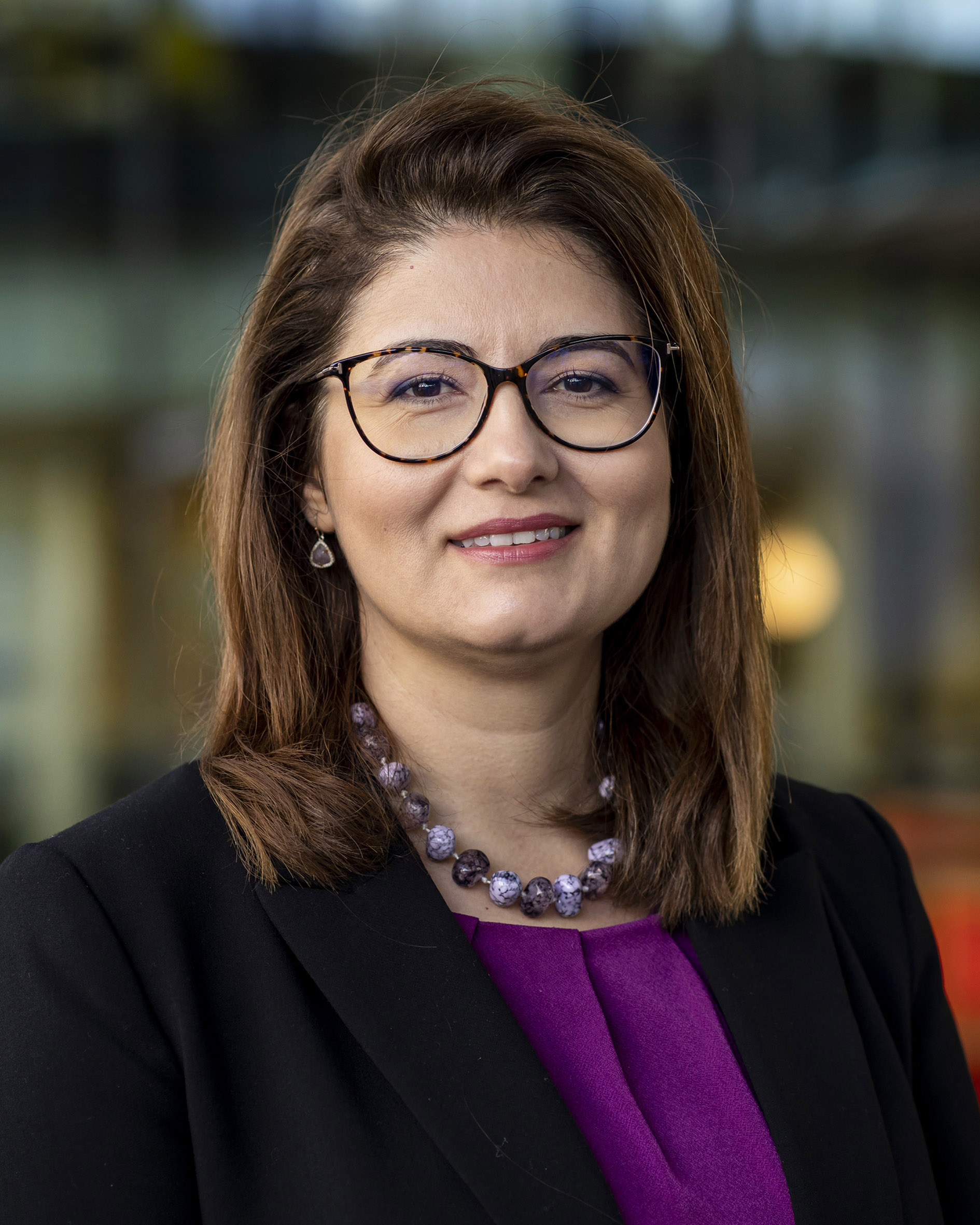 Aida Todri-Sanial, Eindhoven University of Technology, NL